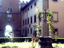 L'ingresso di Bolgheri